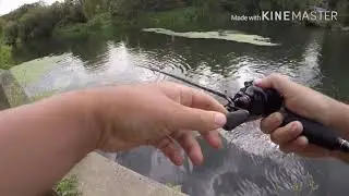 Pike Fishing Storm Arashi Silent Square