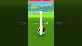 Community Day Classic Shiny Larvitar #2 plus Evolution into Shiny Pupitar in Pok&eacute;mon Go