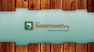 Fishing logo animation sequence
