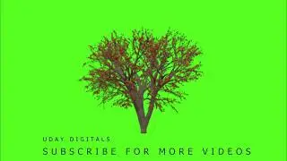 fall tree green screen, autumn leaves green screen, tree green screen no copyright, moving tree free