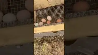 🥚Самодельные выдвижные ящики для хранения вещей🥚