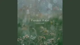 Forest Rain