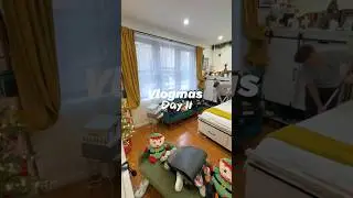 Vlogmas Day 11 - final christmas decor, clean with me #vlogmas #vlog #cleanwithme #christmas #nyc
