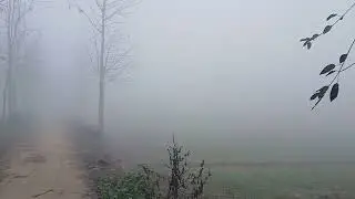 Winters in North India 