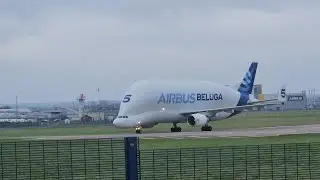 Airbus beluga 5 final flight 