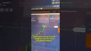 2000 USD live signal profitTelegram Channel name