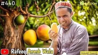 Rafeeq Anmb Wala 🥭 | Balochi Thug Life | 2025 | Video 440 @Liaquatali4g 