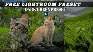 Lightroom // presets tanged HDR PRESETS MAX 8K TRENDING // PRESET LIGHTROOM Editing NEW DARK /GREEN 