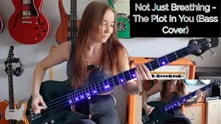 Not Just Breathing - The Plot In You (Bass Cover)