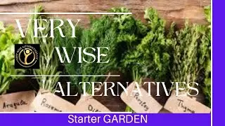 Herbalist Viola's Starter Garden