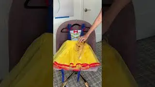 Guess my toddler&rsquo;s Halloween costume?! Princess costume ideas!