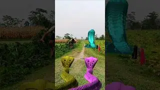 same video bar bar chhora har har mahadev ki jay ho abaro sap agaya he mahakal bachalo plz ❤️🙏