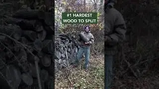 The Hardest Firewood to Split... #Shorts