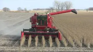 Corn Belt Harvest