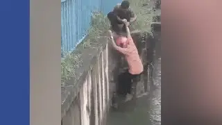 Aksi Selamatkan Kucing Dapat Pujian Netizen
