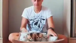 | 9GAG | Keeping baby kitties focus ... It's a never ending battle