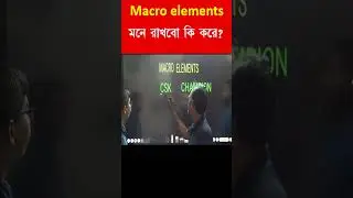 macro elements