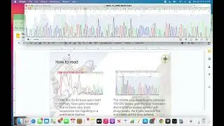 How To Read Sequencing Chromatograms