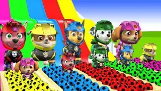 PAW Patrol Rescue Wheels Adventures! | Long Slide Game | 3d Animal Game Funny 3d Animals