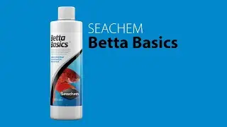 SEACHEM Betta Basics (English & Chinese Sub)