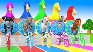 Long Slide Game With Cow Elephant Gorilla Hippopotamus Tiger 3d Animal Game Funny 3d Animals #2025