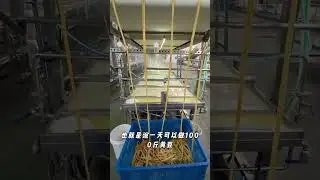 Automatic bean curd oil skin production line