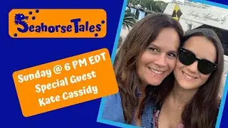 Seahorse Tales - Long-Lasting Relationships