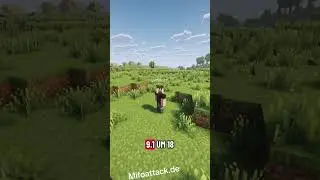IP: Mifoattack.de #minecraft #minecraftshorts #shorts #server #geld #gutschein