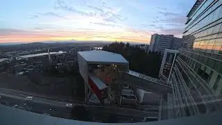 Transplant Day 0 Sunrise
