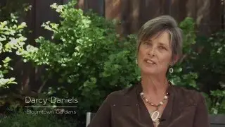 Darcy Daniels - Bloomtown Gardens