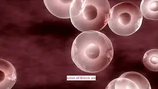 Bioprinting Human Organs | Building a future for Regenerative Medicine | Tissue Engineering