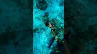 Most Beautiful Freediving