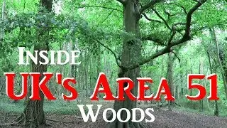 Inside UK's Area 51 Woods : Woodland Therapy