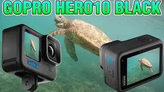 🎥 GoPro Hero10 Black: первое впечатление / первое использование 🌸Мауи 🌊 Под водой 🏊 Плавание с черепахами 🐢
