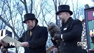 Groundhog day? More like Ground Owl day in Cape Coral!