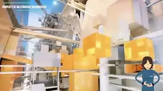 Mega-Projekt NEOM: Die futuristische Fluglinie im Faktencheck