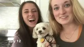 1 Second Each Day - 2017