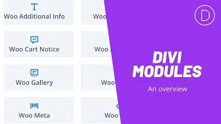 Learning Divi: An overview of Divi Modules