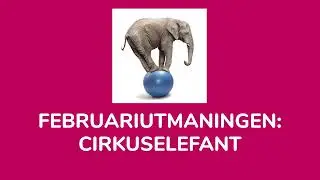 Februariutmaningen - Cirkuselefant
