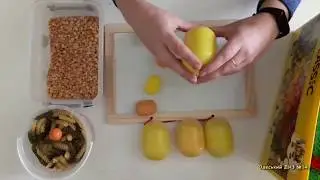 Сенсорна гра "Шумові кіндери"