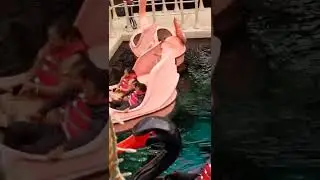 a flamingo ride at west edmonton mall(very fun a little funny and a family favorite for mine).
