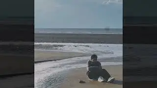 MAR&Eacute;E BASSE