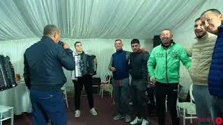 Niki Pițigoi - Ascultări Live