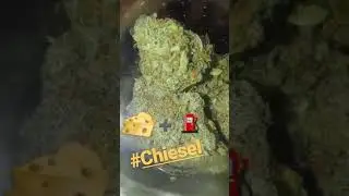 50/50 hybrid Chiesel