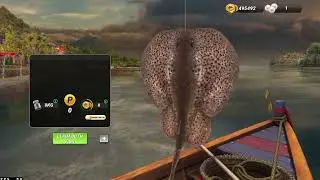 fishing clash - crash today