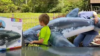 Reviewing the whale float!