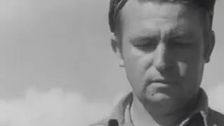 Avocado business in Florida, from Industry on Parade (1954)