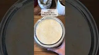 The ratio I feed &ldquo;The Bitch&rdquo; my sourdough starter #sourdoughstarter #sourdoughbread #sourdough