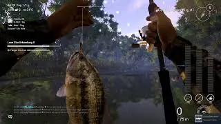 Fishing Planet Staffel 3 Folge 3 Barsche bis Level 8