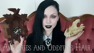 ANTIQUES AND ODDITIES HAUL || Dingo Bones, Goth Sofa and more!